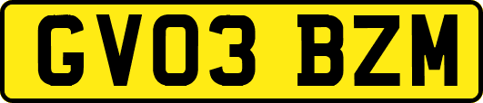 GV03BZM