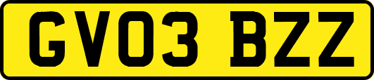 GV03BZZ