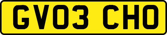 GV03CHO