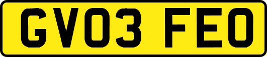 GV03FEO