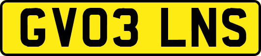 GV03LNS