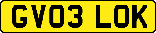 GV03LOK