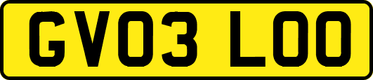 GV03LOO