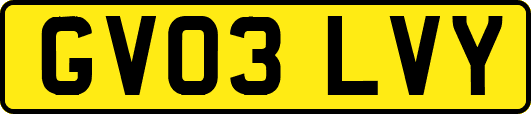 GV03LVY