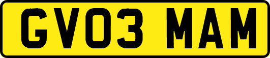 GV03MAM