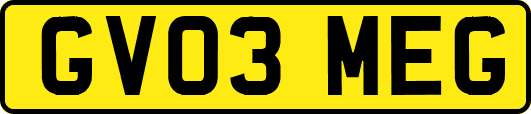 GV03MEG