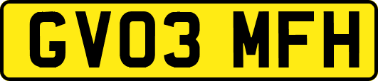 GV03MFH