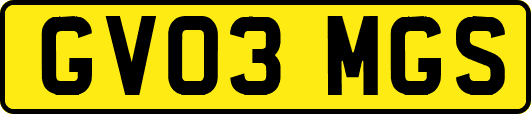GV03MGS