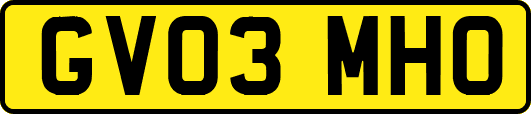 GV03MHO