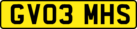 GV03MHS