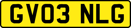 GV03NLG