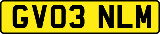 GV03NLM