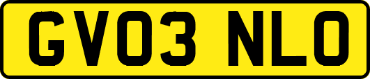 GV03NLO