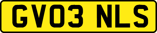 GV03NLS