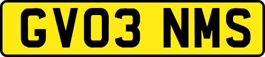 GV03NMS