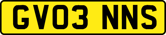 GV03NNS