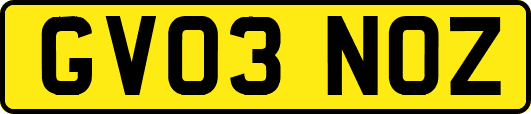 GV03NOZ