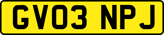 GV03NPJ