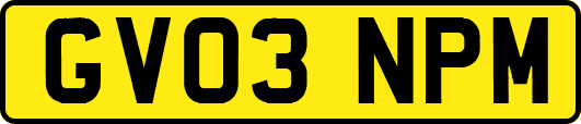 GV03NPM
