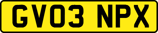 GV03NPX