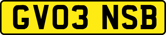 GV03NSB