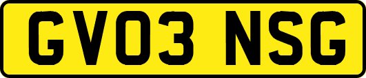 GV03NSG