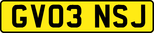 GV03NSJ