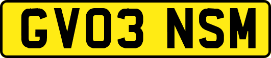 GV03NSM