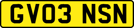 GV03NSN