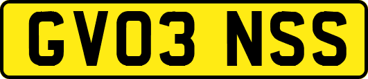 GV03NSS