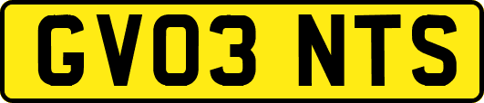 GV03NTS