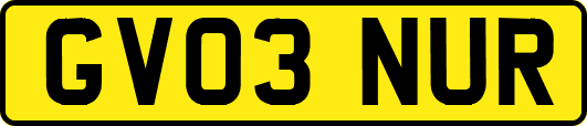 GV03NUR
