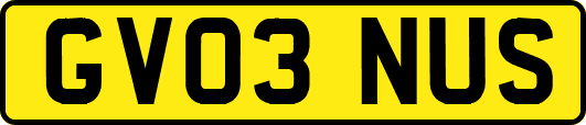 GV03NUS