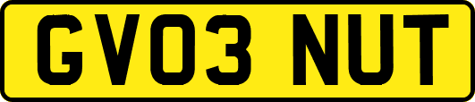GV03NUT