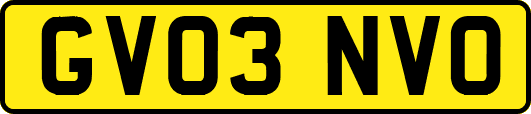 GV03NVO