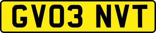 GV03NVT