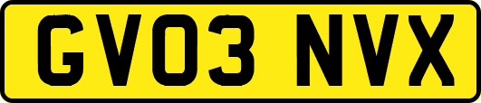 GV03NVX