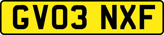 GV03NXF