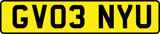 GV03NYU