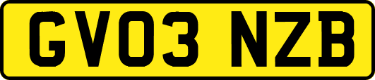 GV03NZB