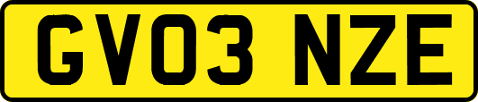 GV03NZE