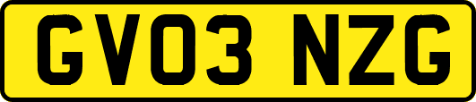 GV03NZG