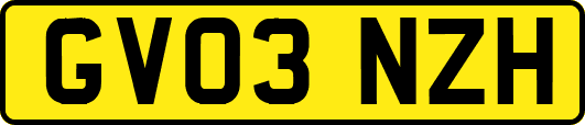 GV03NZH