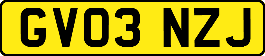 GV03NZJ