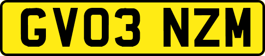 GV03NZM