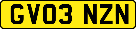 GV03NZN