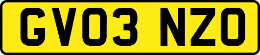 GV03NZO
