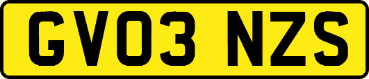 GV03NZS