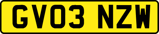 GV03NZW