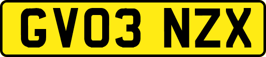 GV03NZX